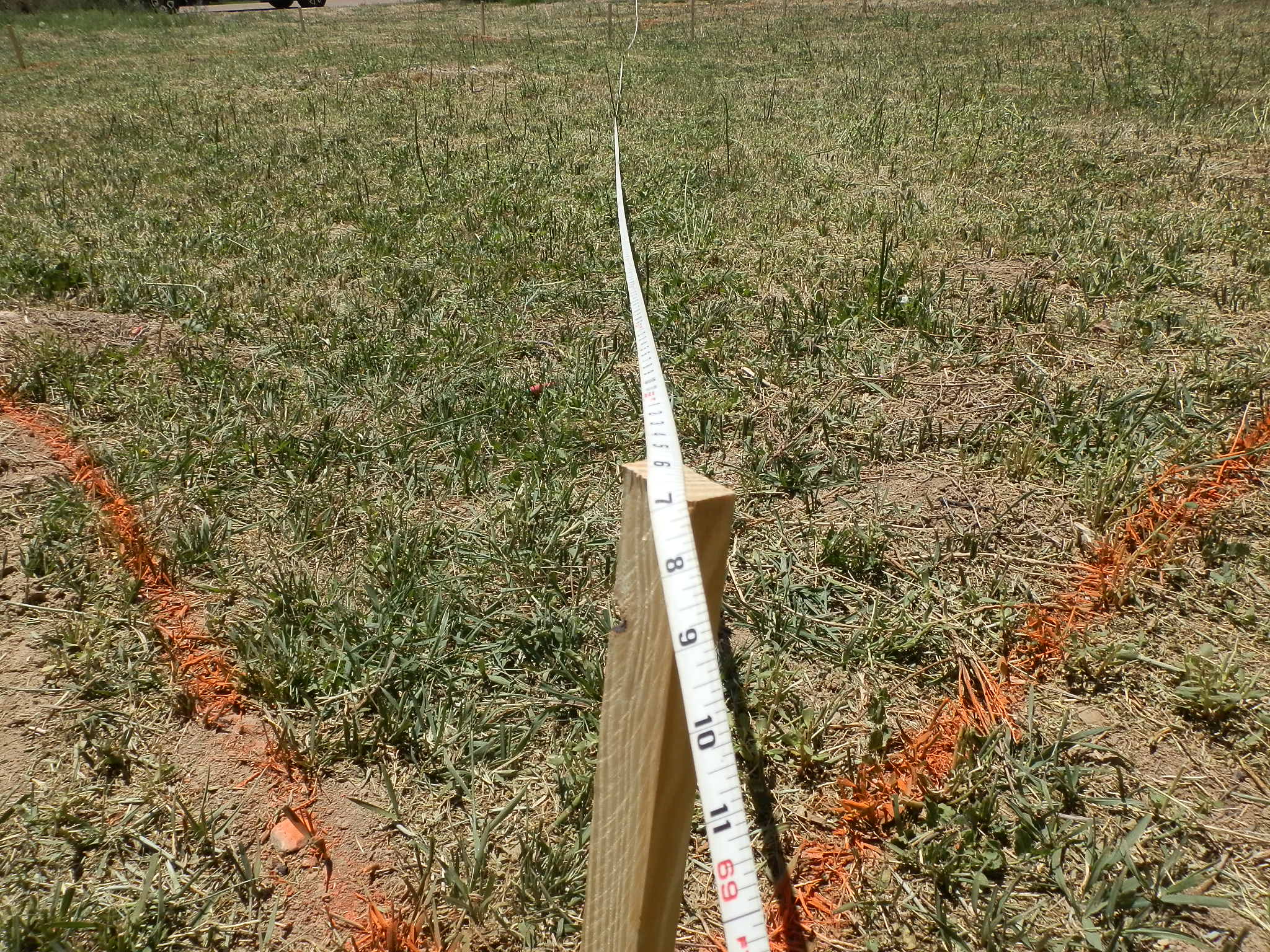 A measuring tape stretched across a grassy field with orange boundary lines.